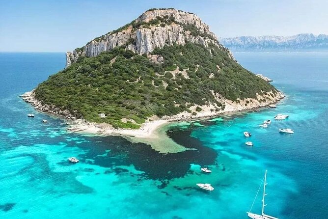 Dolphin Watching Tour with Snorkeling from Olbia - Cala Moresca snorkeling and the hunt for bottlenose dolphins
