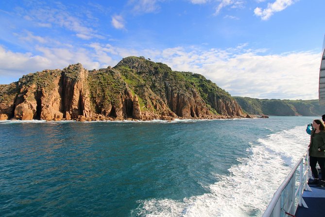 Dolphin & Whale Cruise - Cape Woolamai Old Granite Quarry: a short land stop with context