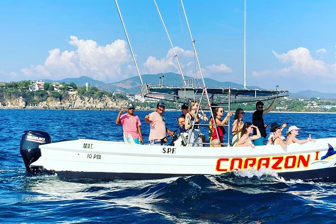 Dolphin & Whale Watching - Boat Comfort: Shade, Group Size, and Practical Pace