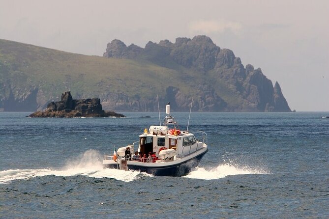 Dolphin & Whale Watching (4hrs) + Blasket Island Landing (3hrs) - Practical tips: clothes, comfort, and how to make wildlife spotting easier