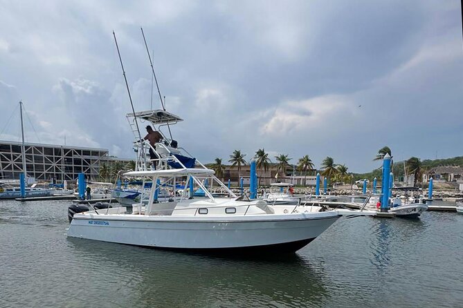 Dolphin & Whale Watching with Marine Biologists - The marine biologist briefing and the hydrophone effect