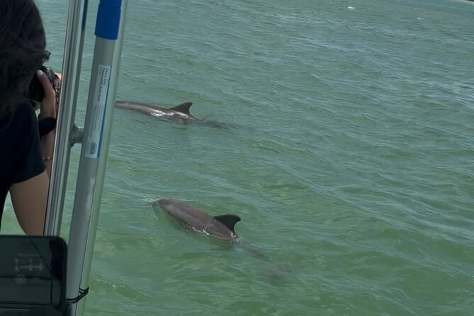 Dolphin Wildlife Cruise Fort Myers Beach - What you might see: dolphins, wake surfing, and bonus animals