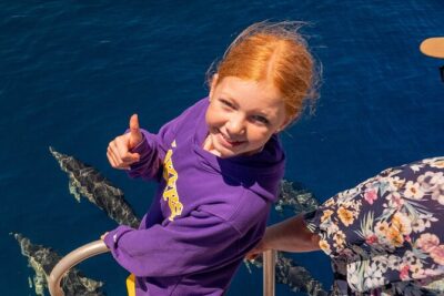 Dolphin & Wildlife Encounters - The boat setup: comfort below, watching power on top