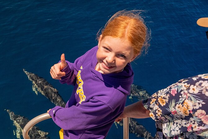 Dolphin & Wildlife Encounters - The boat setup: comfort below, watching power on top