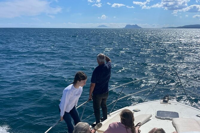 Dolphins and Sea Boat Adventure in Manilva Coast - Small-group feel, caring hosts, and a cleaner-water touch