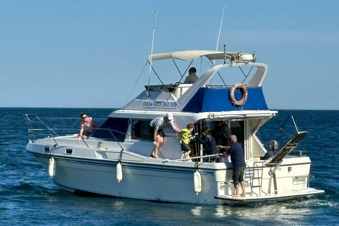 Dolphins and Sea Boat Adventure in Manilva Coast - Book it or skip it?