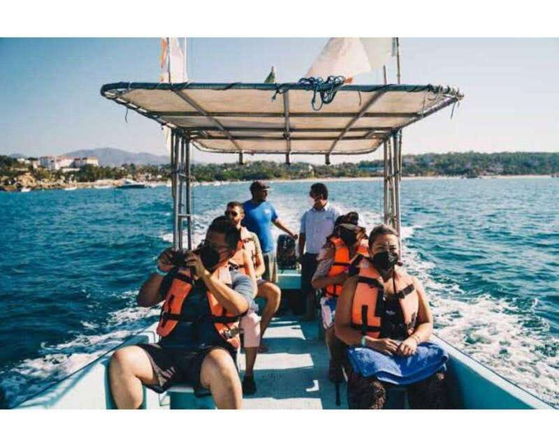 Dolphins and whales watching in Puerto Escondido. - Key Things You Should Know Before You Go