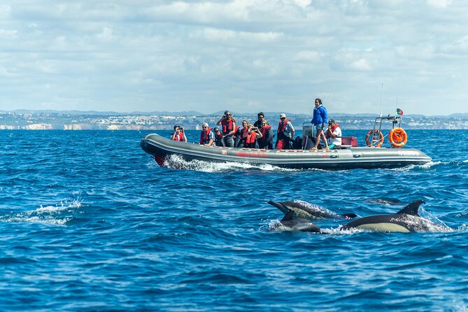 Dolphins & Caves on Rib Boat - Key highlights worth your attention