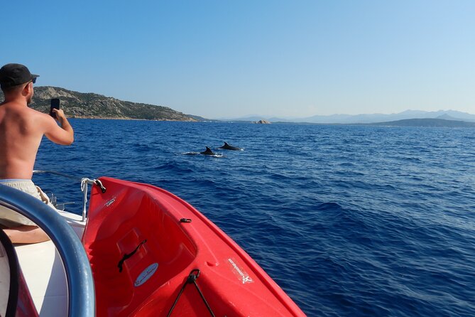 Dolphins Circus tour in Small group - Beach stops that are about relaxing, not just looking