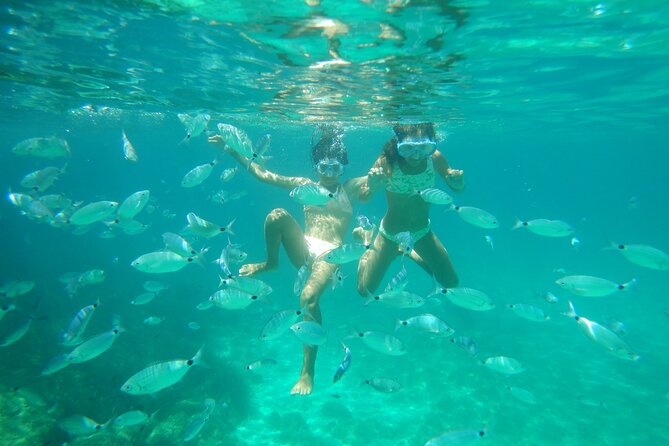 Dolphins Circus tour in Small group - Cruising Sardinia’s coastline: rugged shores and small islands