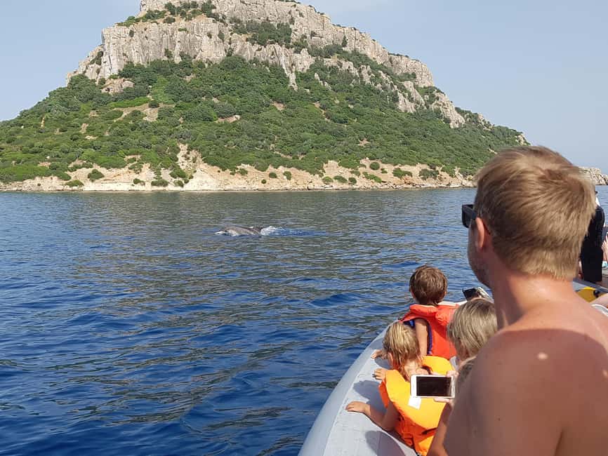 Dolphins: Dolphin Watching Tour and Capo Figari by Raft - Key points before you go