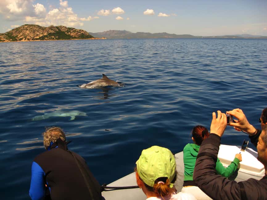Dolphins: Dolphin Watching Tour and Capo Figari by Raft - The Capo Figari coastline: why the views matter