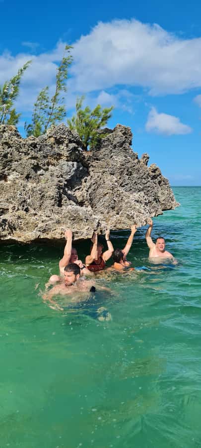 Dolphins: Private, Snorkel, CrystalRock, ileoBenitiers,lunch - Crystal Rock in the middle of the ocean (it’s more than a photo stop)