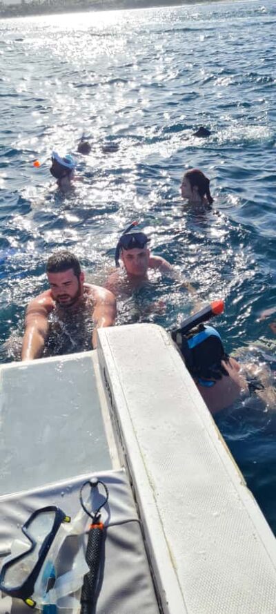 Dolphins: Private, Snorkel, CrystalRock, ileoBenitiers,lunch - Dolphins in the Bay of Tamarin: the main event without the frantic vibe