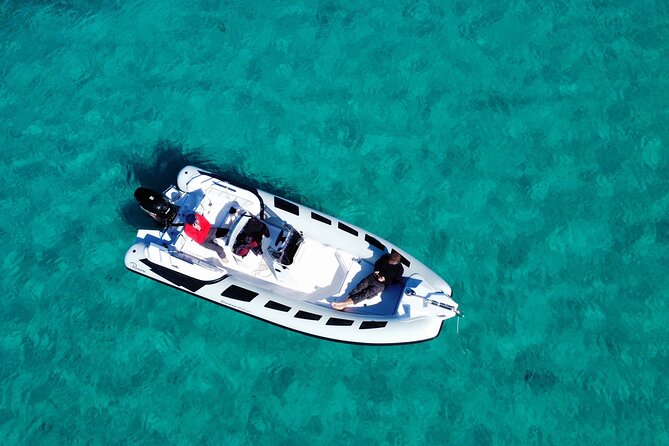 Dolphins Rib boat (up 6 people) Private - The dolphin search around Capo Figari and the Figarolo area