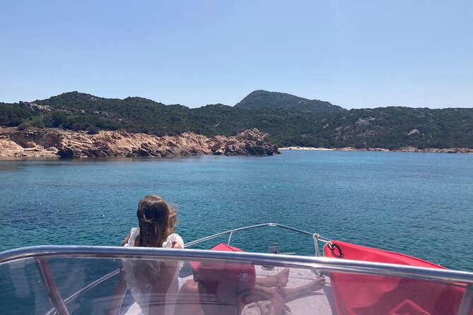 Dolphins Rib boat (up 6 people) Private - Onboard vibe: captain-led pacing, snacks, and family moments