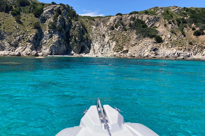 Dolphins Rib boat (up 6 people) Private - Who should book this dolphin RIB boat (and who might pass)