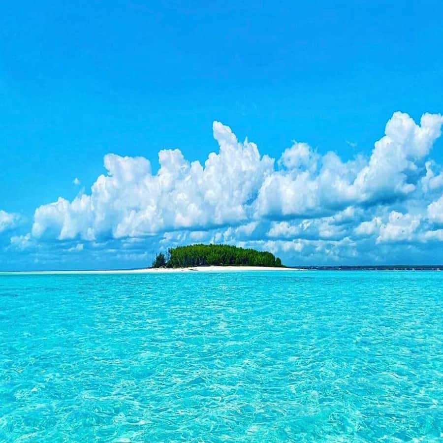 Dolphins & Snorkeling Zanzibar: Mnemba Island Tour - Dolphin watching for one full hour: how to make the most of it