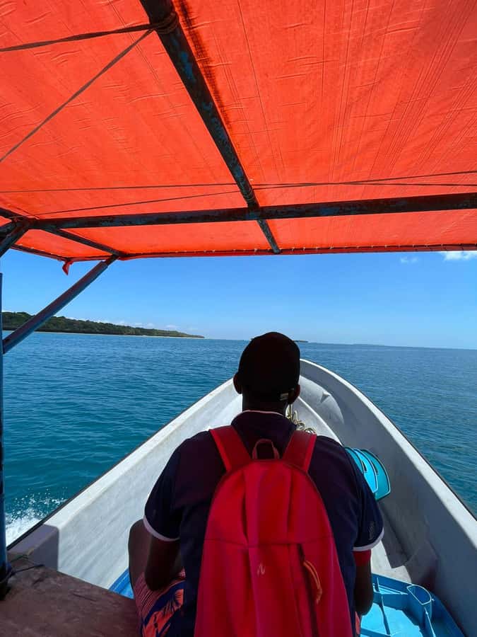 Dolphins tour and turtles swimming in kizimkazi - Salaam Cave Aquarium: Turtle Swimming (1.5 Hours)