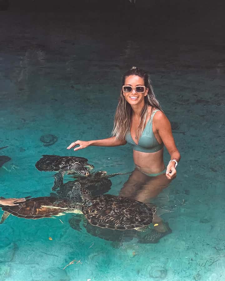 Dolphins tour + mnemba island snorkeling + salaam turles - Dolphin time on the water: real wildlife, real boat pressure