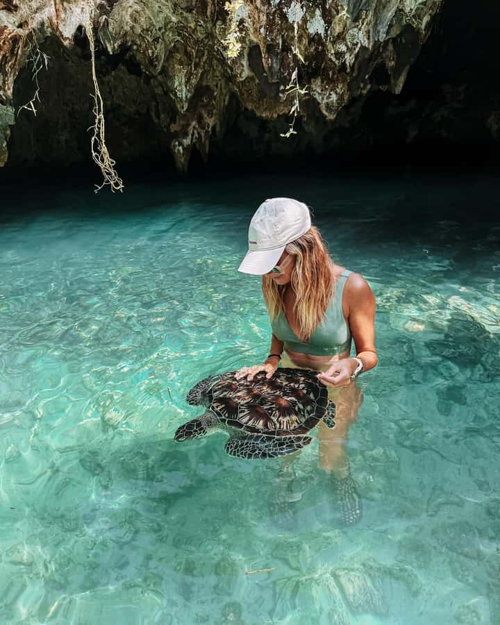 Dolphins tour + mnemba island snorkeling + salaam turles - Snorkeling at Mnemba Island: where your 1.5 hours should go