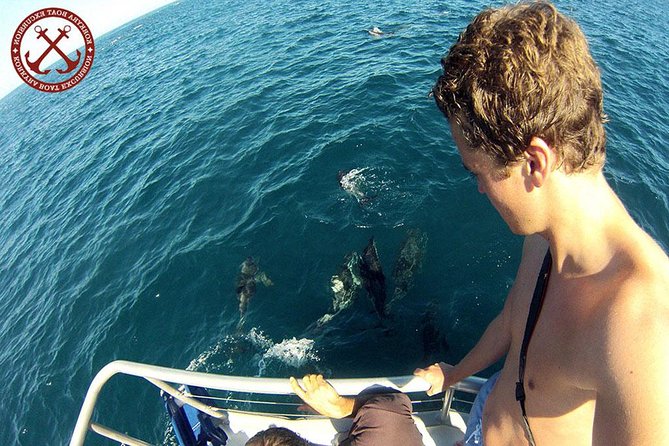 Dolphins Watching in the National Park Brijuni from Pula - Key Things to Know Before You Go