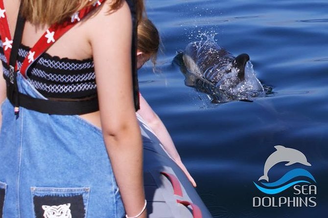 Dolphins Watching - Getting Started at Av. Rio Arade 129 and Headed to Marina de Portimão