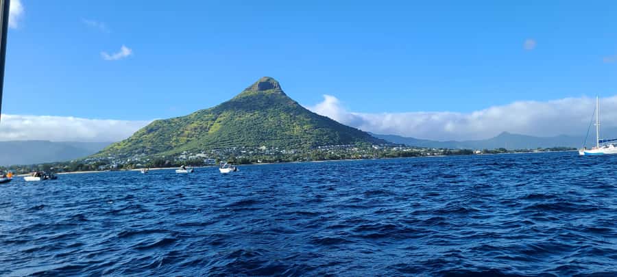Dolphins & Whales, Private Tour Snorkeling - Price and Value: Is $635 Worth It?