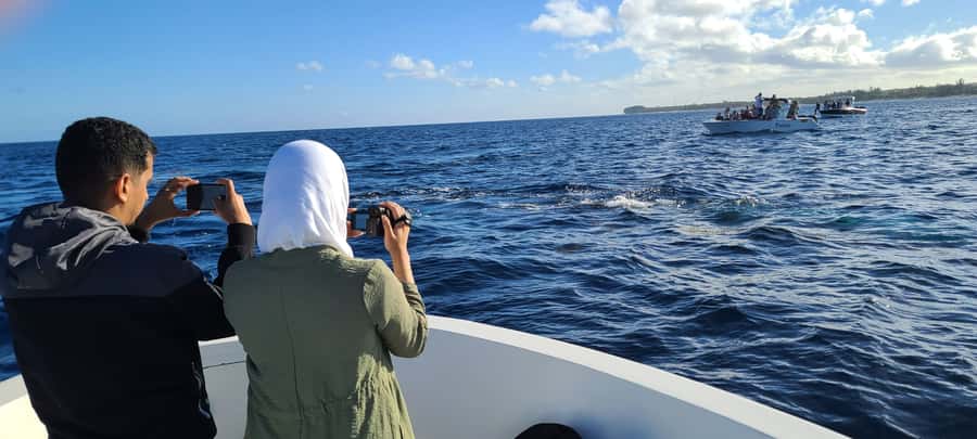 Dolphins & Whales, Private Tour Snorkeling - Crystal Rock: A Scenic Stop That Sets the Tone
