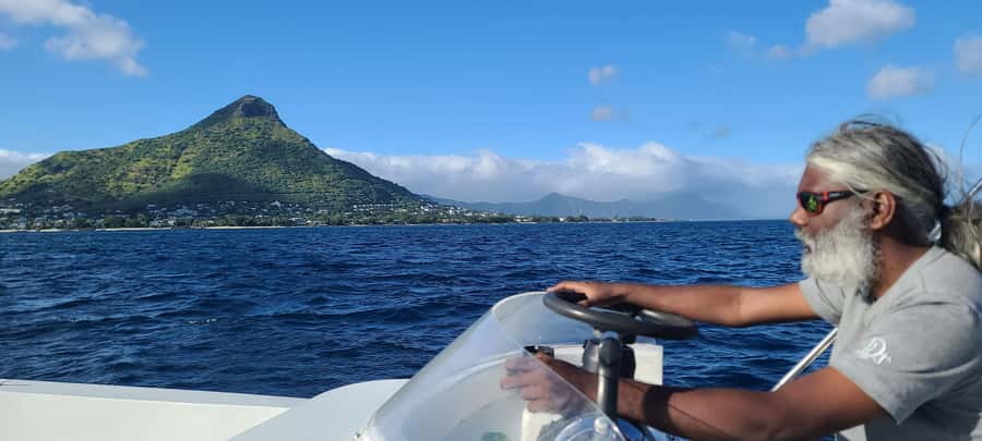 Dolphins & Whales, Private Tour Snorkeling - Who This Tour Fits Best (and Who Should Skip)