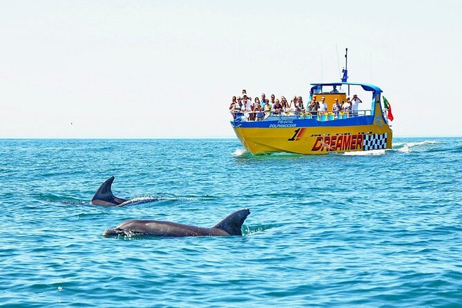 Dreamer Cave and Dolphins Boat Tour Ticket Albufeira - Key highlights you’ll actually care about