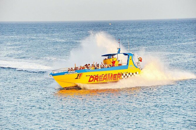 Dreamer Cave and Dolphins Boat Tour Ticket Albufeira - Timing, weather, and what to bring for a comfy ride