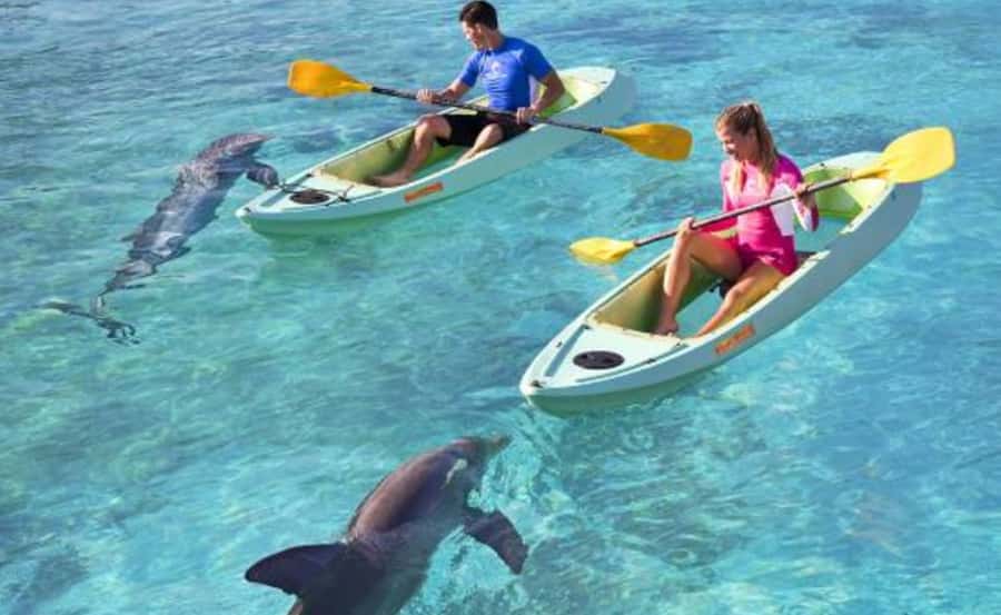 Dubai: Atlantis Dolphin Kayak Trip & Aquaventure Waterpark - Key takeaways before you go