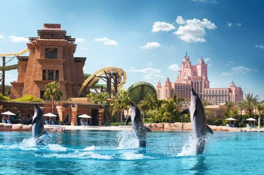 Dubai: Atlantis Dolphin Kayak Trip & Aquaventure Waterpark - Safety orientation with a marine mammal specialist: why it matters