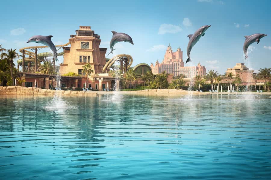 Dubai: Dolphin Encounter & Aquaventure Waterpark Ticket - Your Dolphin Encounter: What You Actually Do in the Water