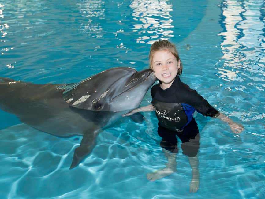 Dubai: Dubai Dolphinarium Dolphin, Seal & Bird Show Tickets - FAQ