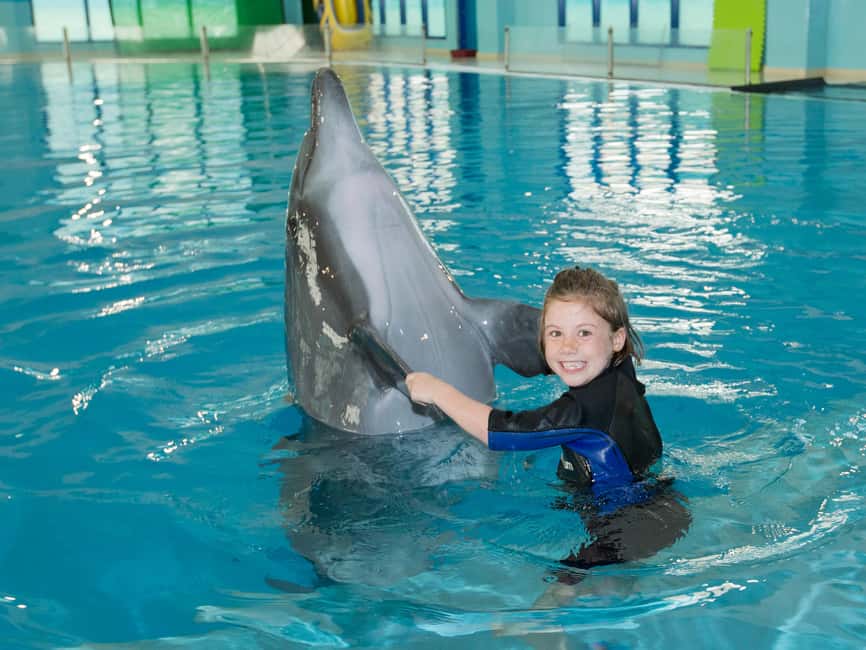 Dubai: Dubai Dolphinarium Dolphin, Seal & Bird Show Tickets - VIP Seats vs Standard: Are Better Views Worth Paying More?