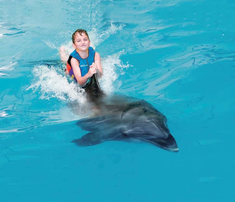 Dubai: Dubai Dolphinarium Dolphin, Seal & Bird Show Tickets - Should You Book Dubai Dolphinarium Dolphin, Seal & Bird Show Tickets?