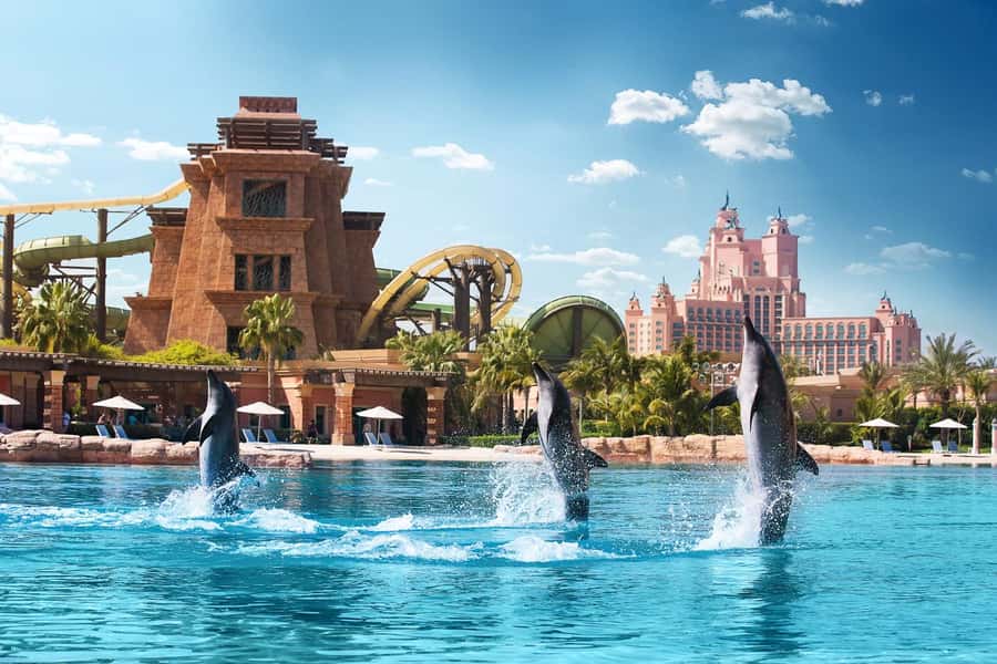 Dubai: Swim with Dolphins at Atlantis Waterpark - Key highlights to know before you go
