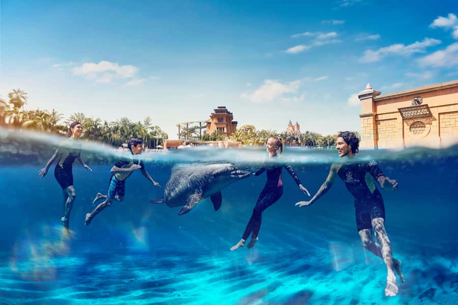 Dubai: Swim with Dolphins at Atlantis Waterpark - Dolphin Bay at Atlantis: what the encounter really feels like