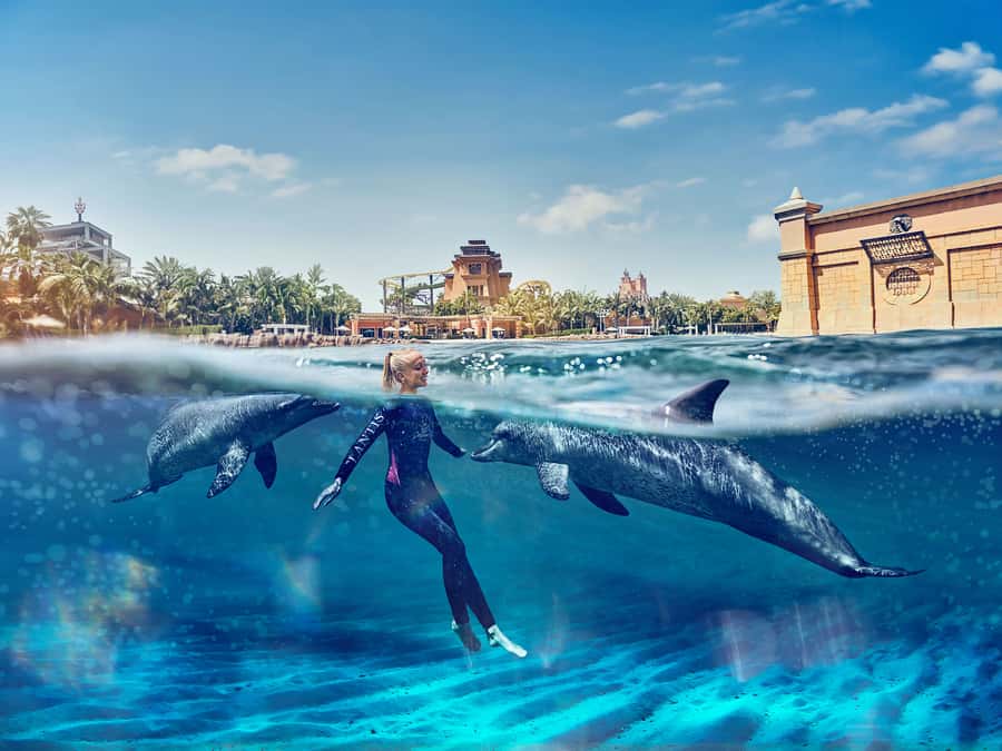 Dubai: Swim with Dolphins at Atlantis Waterpark - Atlas Village check-in and wetsuit setup