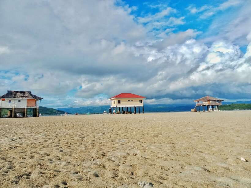 Dumaguete: Dolphin Watching & Manjuyod Sandbar Private Tour - Who This Tour Suits Best (and Who Should Rethink It)