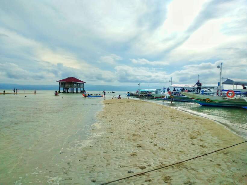 Dumaguete: Dolphin Watching & Manjuyod Sandbar Private Tour - Snorkeling and Clear-Water Time in Bais: Good Odds, Not a Guaranteed Show
