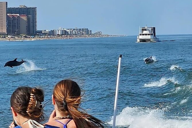 EARLY BIRD SPECIAL: Speed Boat & Dolphin Cruise in Ocean City, MD - Dolphin Watching Reality Check: Odds Are Better Early, Not Guaranteed