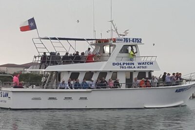 Eco and Dolphin Watch Tour of South Padre Island - The route along South Padre: what you’ll see between dolphin sightings