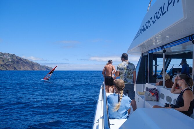 Eco-Friendly Catamaran Dolphin and Whale Watching - Eco catamaran Basics: what Magic Dolphin gives you