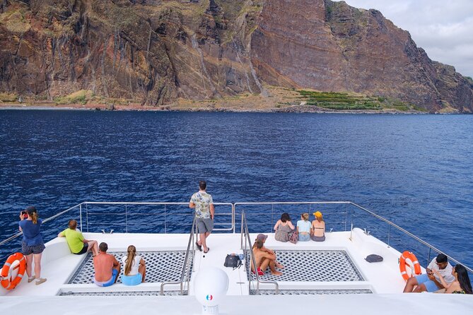 Eco-Friendly Catamaran Dolphin and Whale Watching - Land spotters and the binocular network: why the boat seems to move smart