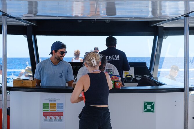 Eco-Friendly Catamaran Dolphin and Whale Watching - Should you book Magic Dolphin? My practical take