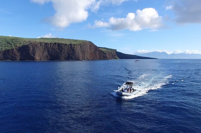 Eco-Raft Tour: Maui-Lanai Snorkel / Dolphin Watch (Semi-Private) - From Lahaina to Lanai: The Sea Day Flow (and What It Means for You)