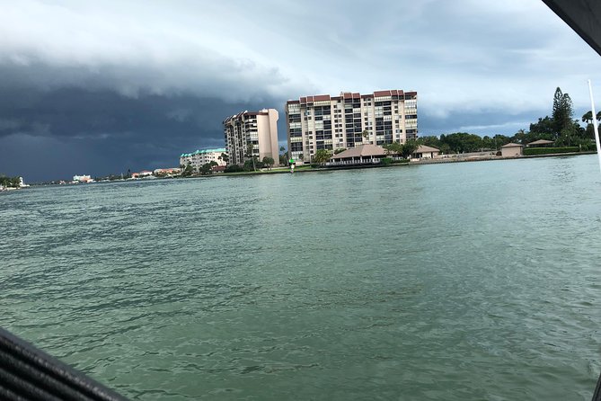 Egmont Key Snorkeling Dolphin Tour - The dolphin part: open-water spotting and photo-ready pacing